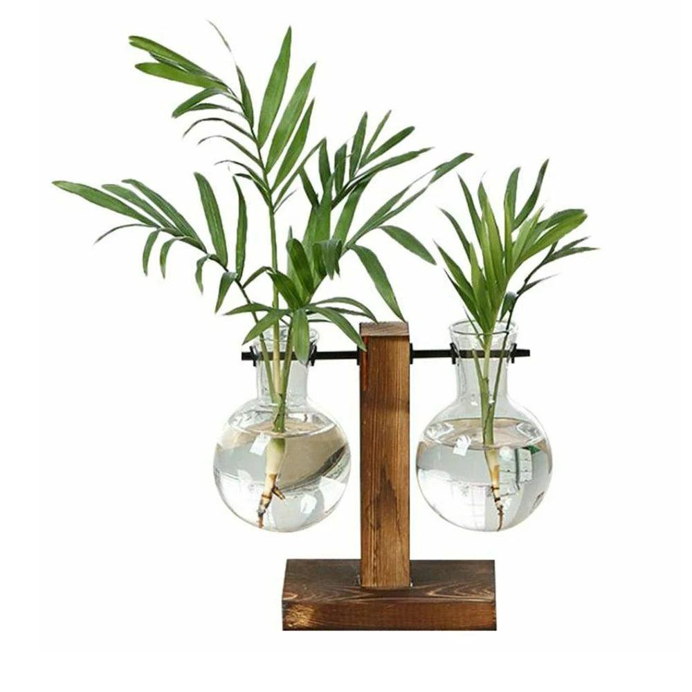 Hydroponic Plant Terrarium Vasevase