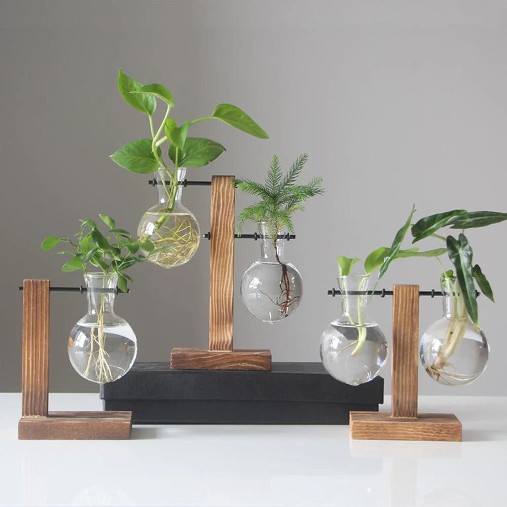 Hydroponic Plant Terrarium Vasevase