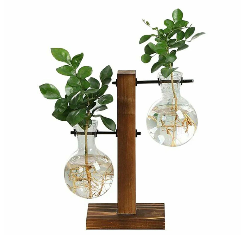 Hydroponic Plant Terrarium Vasevase