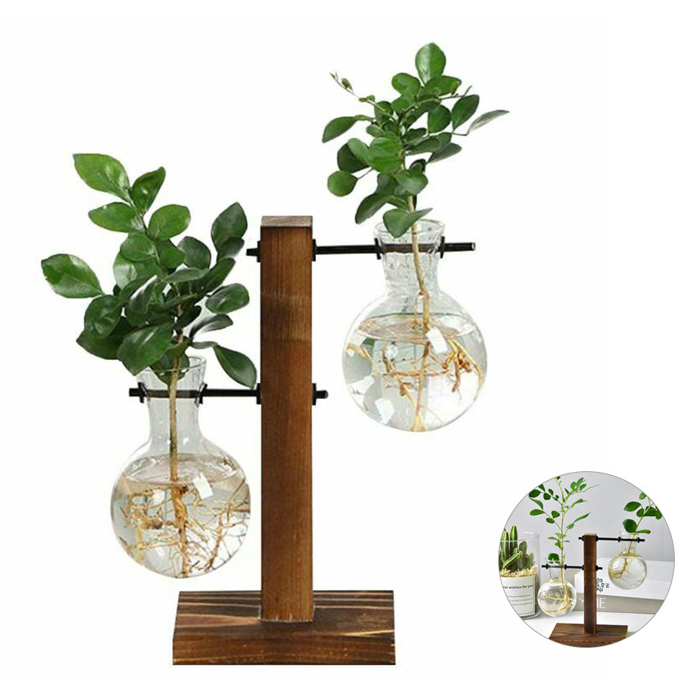 Hydroponic Plant Terrarium Vasevase